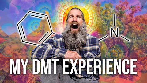 MY DMT EXPERIENCE