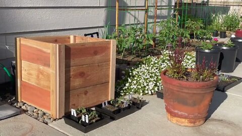 Redwood Planter Boxes and Arbor