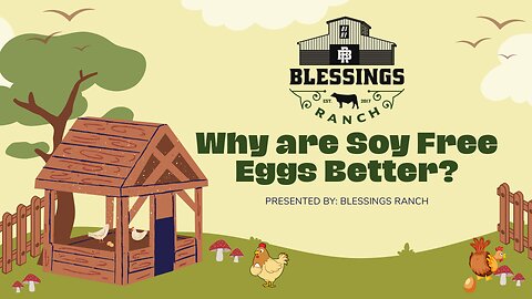 Why are Soy Free Eggs Better?