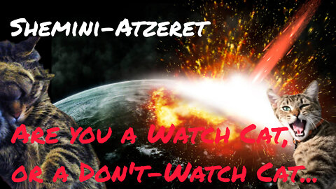 Sick & in YT Jail again. Happy Shemini Atzeret! Signs, 7 Day Warnings, NASA Dart Mission, Asteroids.