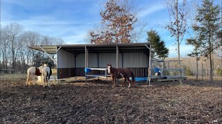 Homemade steel loafing shed for the horses