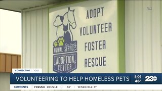 Kern County Animal Services seeks volunteers