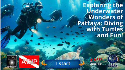 Exploring the Underwater Wonders of Pattaya: Diving with Turtles and Fun!