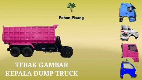 Tebak Gambar Kepala Dump Truck Oleng Pink Tronton Dengan Benar