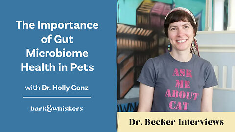 The Importance of Gut Microbiome Health in Pets