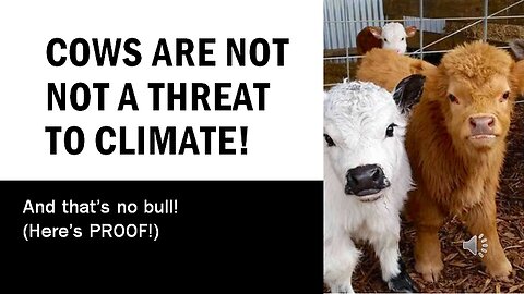 Cows are No Threat to Climate, Here's Proof!