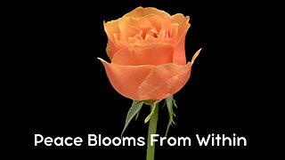 Fall Asleep Instantly | Piano Music with Time-Lapse Blooming Flowers for Deep Sleep & Relaxation