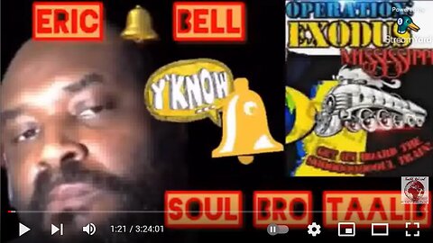 Why Pro-Blackness Is DEATH 4 Black Americans ? With SOUL Brother Taalib