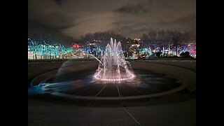 🦌 Christmas in Seattle, Washington 🎄