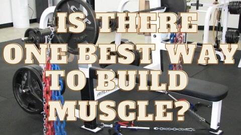 How to Build Muscle Part 1: nuts and bolts