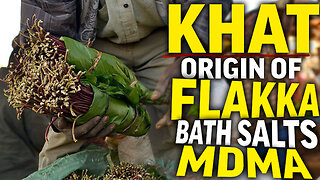 Khat | The Origin of Designer Cathinone Drugs | Flakka MDMA