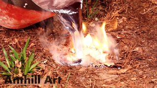 Casting a Yellowjacket Nest with Molten Aluminum