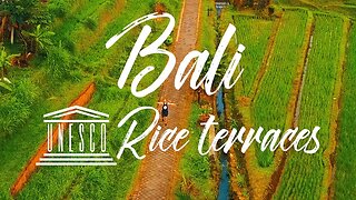 BEST BALI RICE TERRACES || JATILUWIH UNESCO INDONESIA