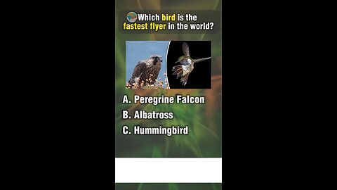 Quiz about bird.