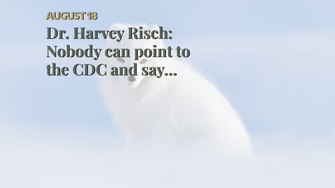 Dr. Harvey Risch: Nobody can point to the CDC and say that the mandates are justified