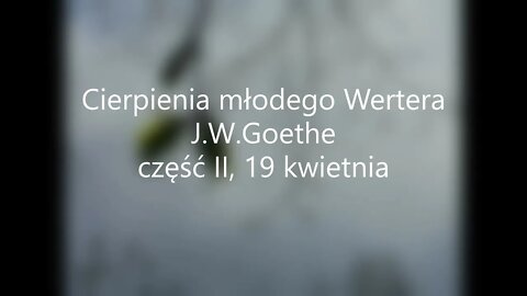 Cierpienia młodego Wertera - J.W.Goethe część II, 19 kwietnia