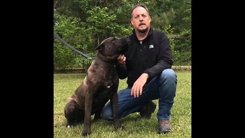 Yard tour at American Sentinel K9, LLC on April 27, 2020