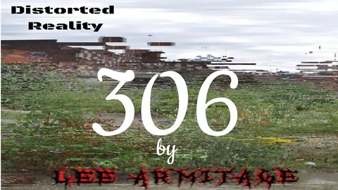 306 Original Song by Lee Armitage from Distorted Reality EP