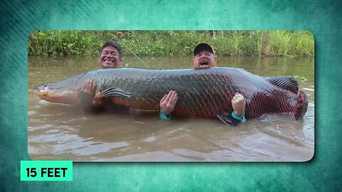 Scientists Terrifying New Discovery Hidden In The Amazon Rainforest