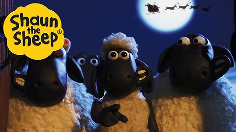 Shaun Celebrates A Snowy Christmas Shaun the Sheep Cartoon