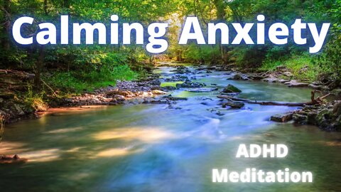 Guided Forest Meditation for Calming Anxiety, ADHD and PTSD.