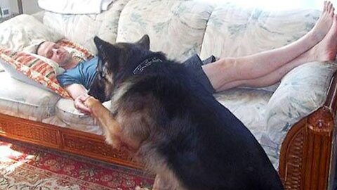 Who needs family therapy when you have your dog - Funny Dog and Human 31