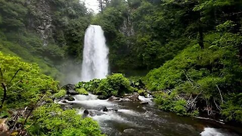 Tranquil Cascades: Serene Waterfalls in the Enchanting Forest