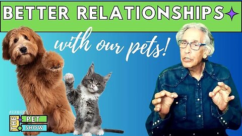 Improving the Relationship with Your DOG or CAT