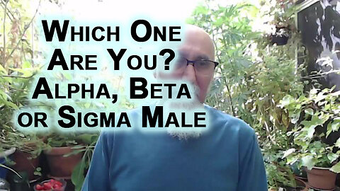 Which One Are You? Alpha, Beta or Sigma Male