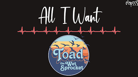 Toad The Wet Sprocket | All I Want (Karaoke + Instrumental)