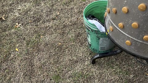 Cleaning chickens