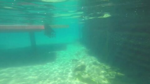 Lake Tahoe Underwater!