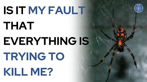 Is it my fault that everything is trying to kill me?