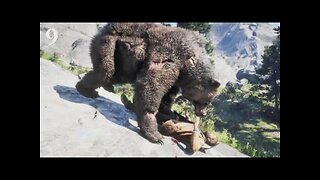 BEAR ATTACK red dead redemption 2 part9