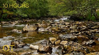 Calming River in the Scottish Highlands | Flowing Water and Atmospheric Sounds for Relaxation| Sleep