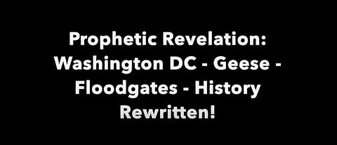 PROPHETIC REVELATION: 4-16-21 WASHINGTON DC – GEESE – FLOODGATES – HISTORY REWRITTEN! [REPLAY]