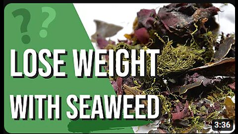 2023 How to lose weight FAST with Seaweed