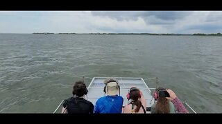 Outer Banks Adventures, Dolphin 🐬 close Wells family Airboat Ecotour 6/9