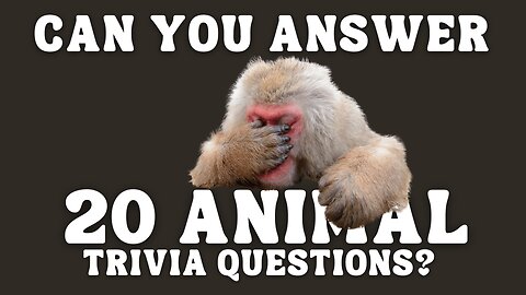 Animal Quiz Game - Can You Answer These Animal Questions No.2