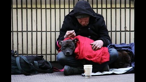Homeless Veterans & Their Dogs Are On The Streets This Season - This Man Is Going To Them