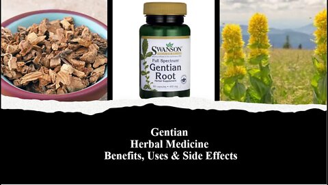 Gentian - Herbal Medicine - Benefits, Uses & Side Effects