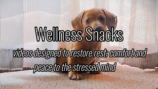 Wellness Snack - Happy Dogs!