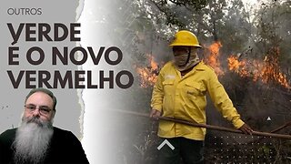 AMAZÔNIA e CERRADO queimam COMO NUNCA, mas LEO DICAPRIO ELOGIA LULA pelo DESMATAMENTO MENOR
