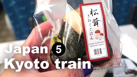 [Vegan goes to Japan #5 ] Kyoto via Shinkansen and the hidden ryokan