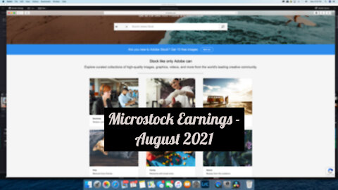Microstock Earnings - August 2021