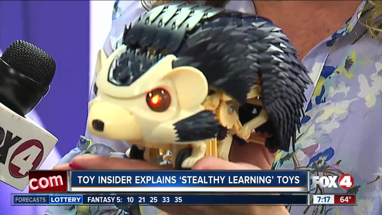 Toy Insider Stealthy Learning 2