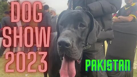 Dog Show in Pakistan (Vlog#15) | All Breed Dog PKU-WKU in Islamabad