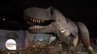 Museum Mondays: Las Vegas Natural History Museum
