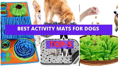 Best Activity Mats For Dogs | Must-Have Activity Mats For Dogs