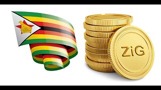 Gold backed Zim digital dollars